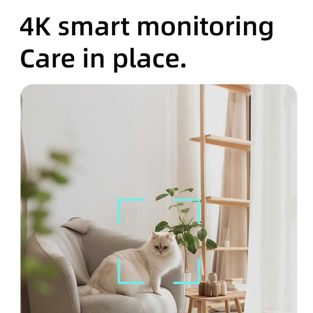 Distributore Automatico di Cib - Pet Feeders recensione e prezzo