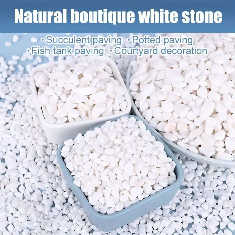 Perlite di alta qualità da 1L  - Pet Beds recensione e prezzo