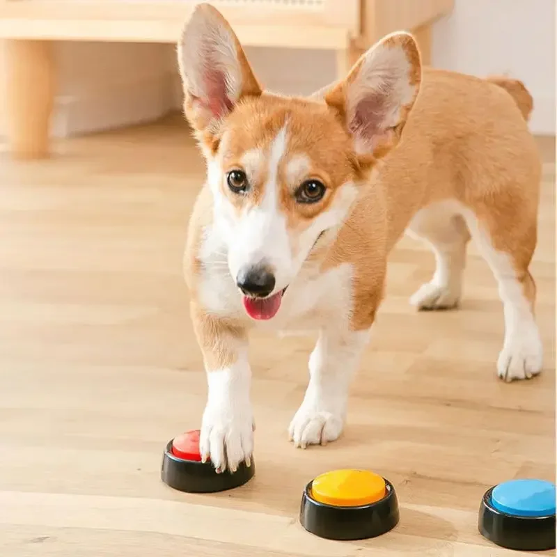 Scatola audio per animali dome - Interactive Squeaky Plush Dog Toy recensione e prezzo