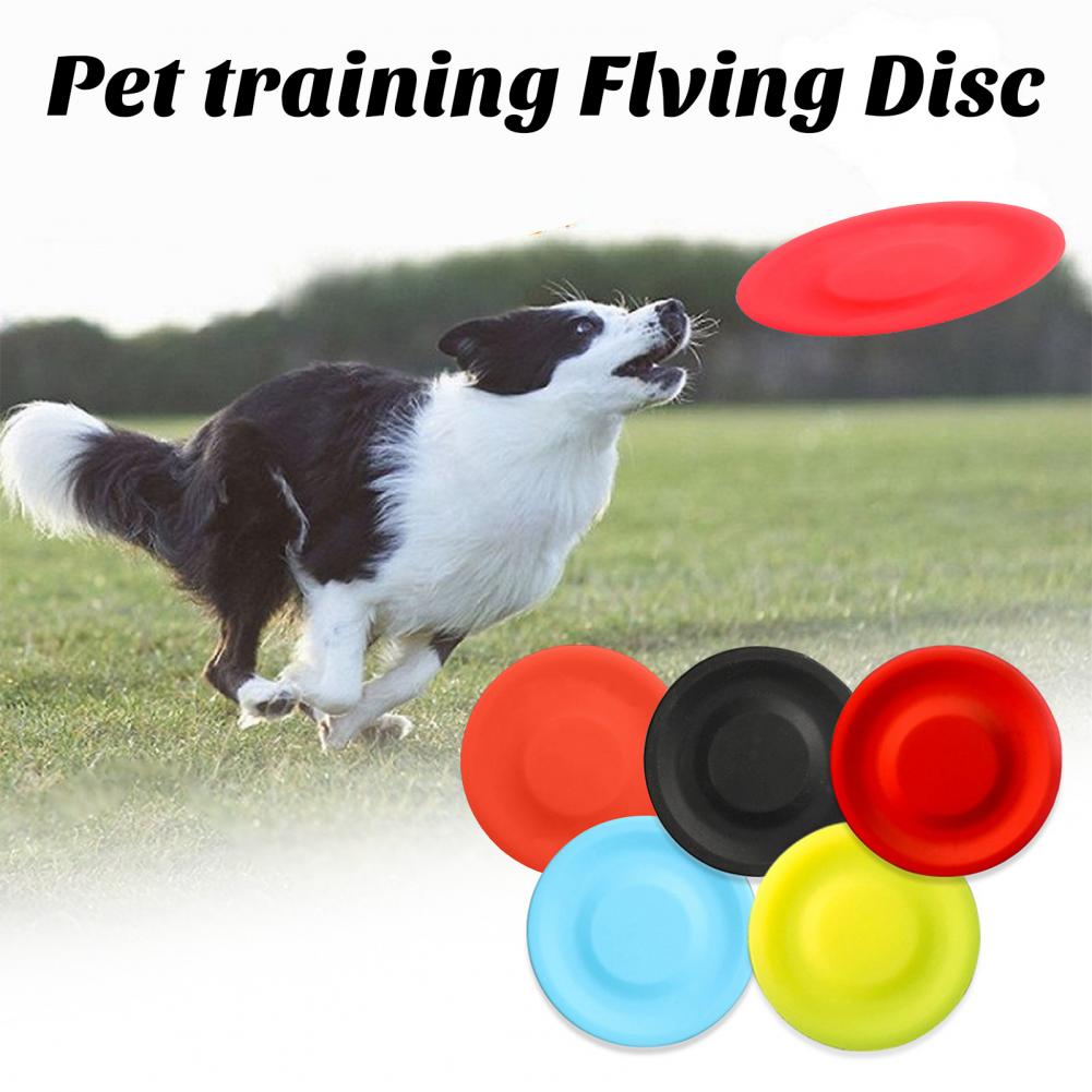 Giocattolo con disco volante p - Flying Disc Dog Training Toy recensione e prezzo