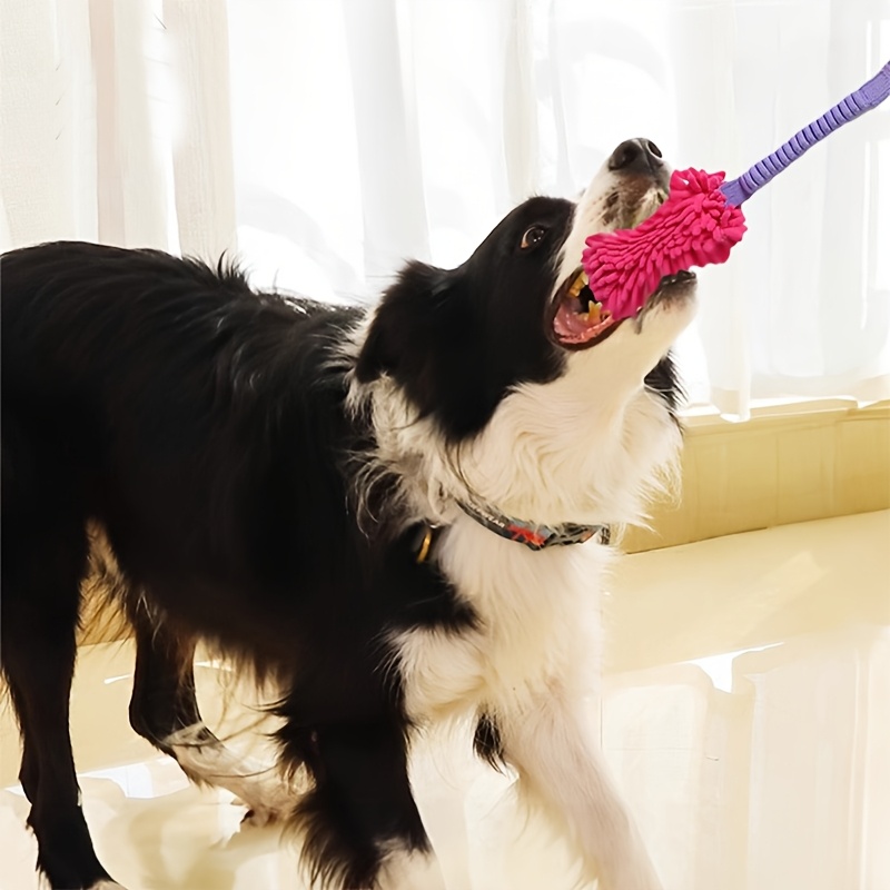 Giocattoli durevoli per cani d - Indestructible Dog Chew Toy recensione e prezzo