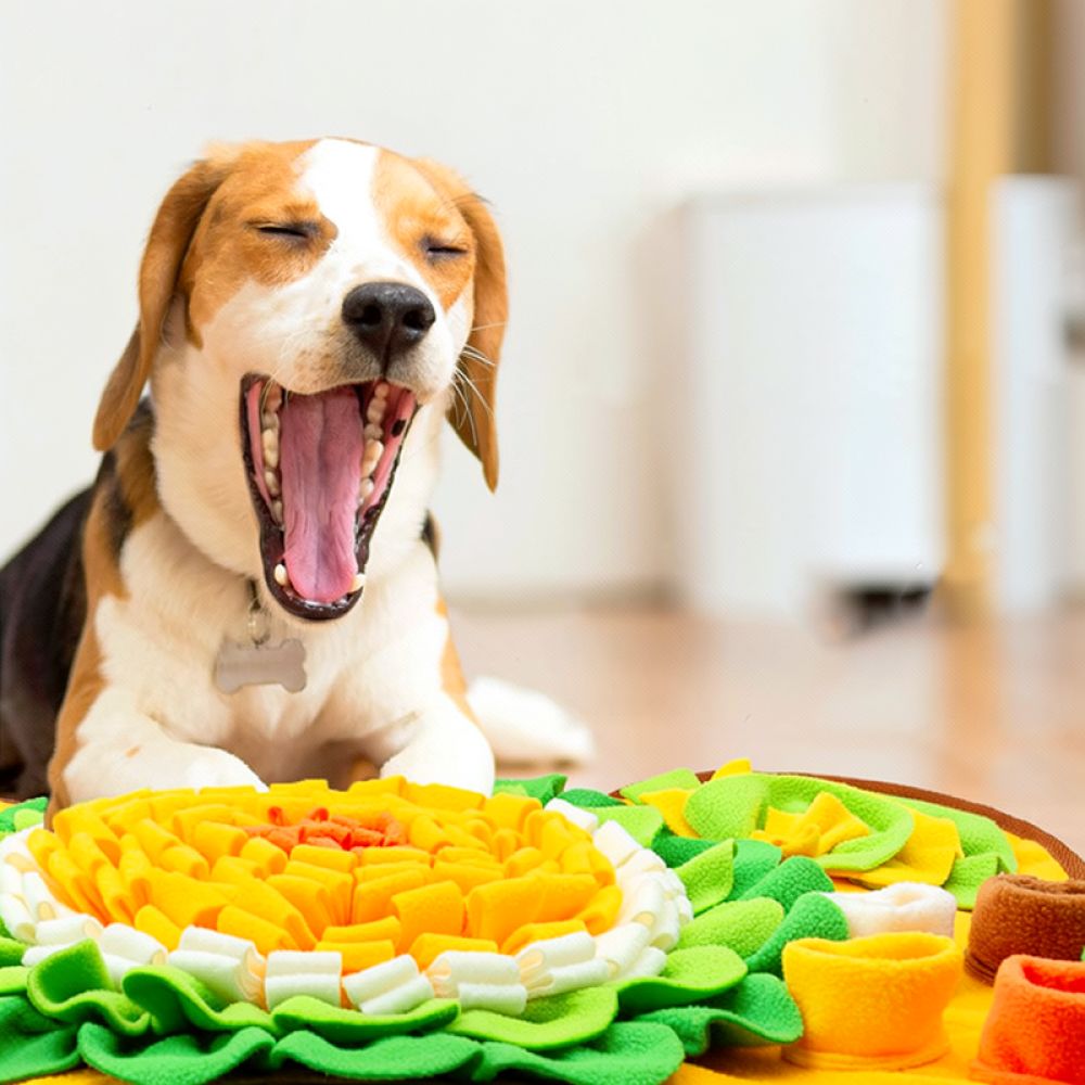 Tappetino olfattivo per cani c - Dog Puzzle Feeder Toy recensione e prezzo