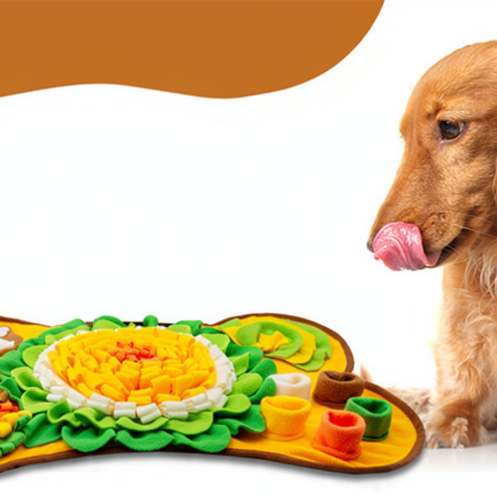 Tappetino olfattivo per cani c - Dog Puzzle Feeder Toy recensione e prezzo